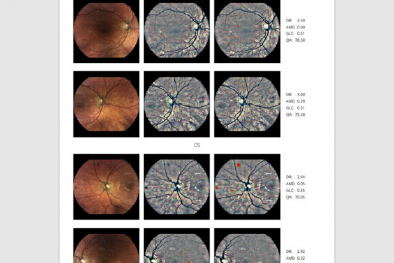 Produkty / Obsah reportu - foto Produkty / Obsah reportu - foto