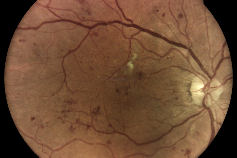 Pre lekárov 0 / Ako to funguje - foto Pre lekárov 0 / Ako to funguje - foto